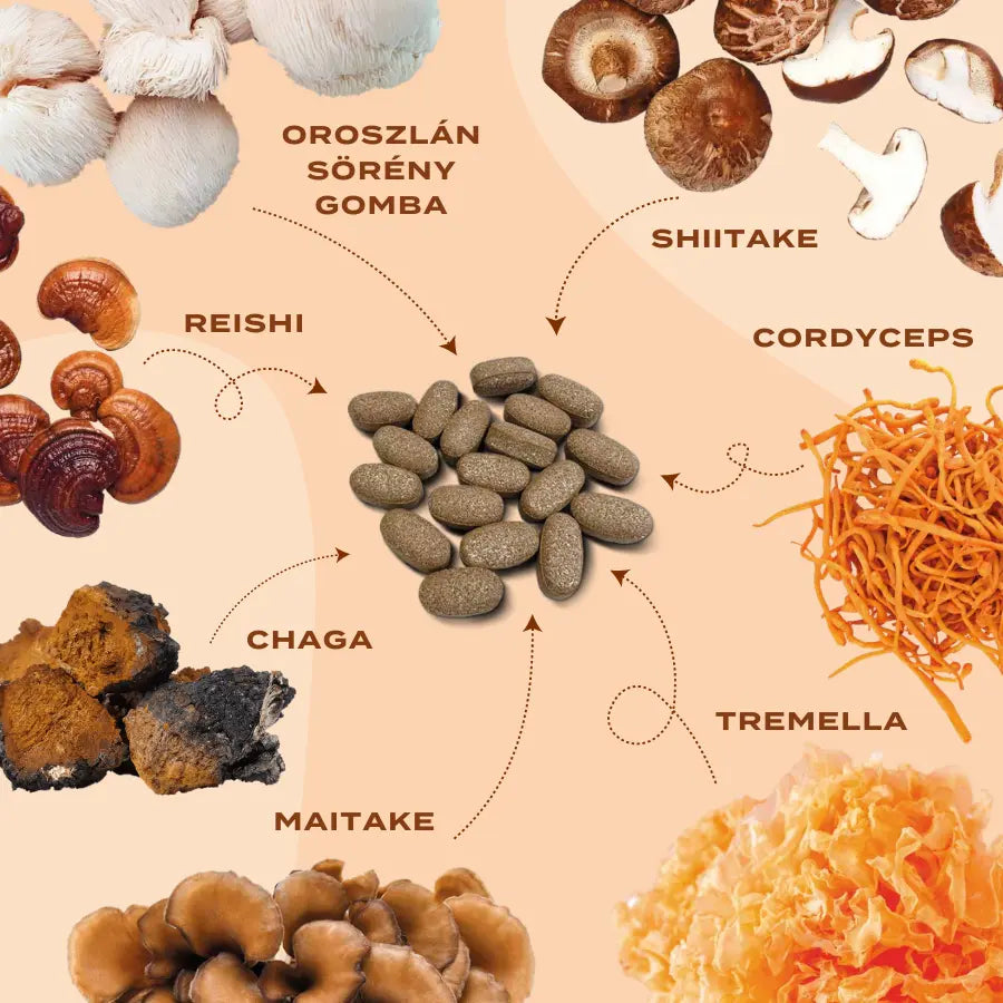 Komplexné hubové kapsule - shiitake, reishi, cordyceps