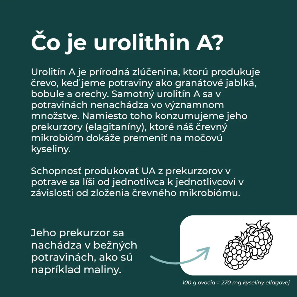 urolithin a skusenosti