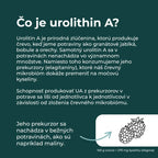 urolithin a skusenosti